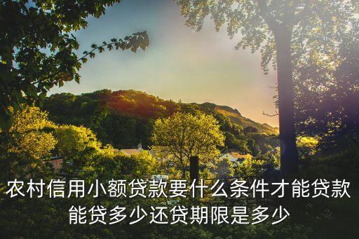 農(nóng)村信用小額貸款要什么條件才能貸款能貸多少還貸期限是多少