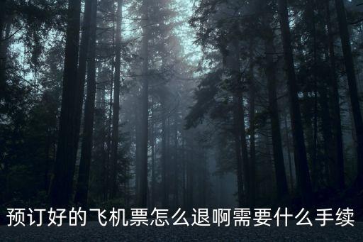 飛機票退票，預訂好的飛機票怎么退啊需要什么手續(xù)
