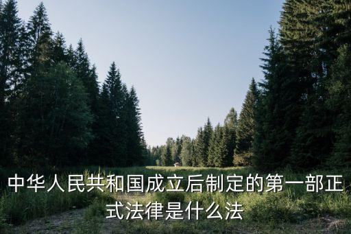 新中國第一部法律，新中國第一部法律是