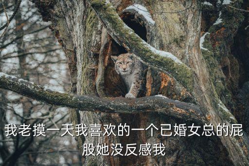 我老摸一天我喜歡的一個(gè)已婚女總的屁股她沒(méi)反感我