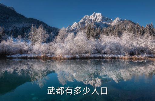 武都有多少人口