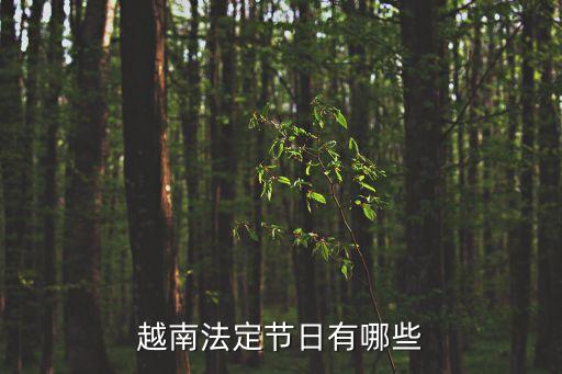 越南節(jié)日，越南最近有什么節(jié)日