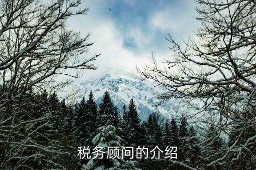 稅務(wù)顧問，稅務(wù)顧問的介紹