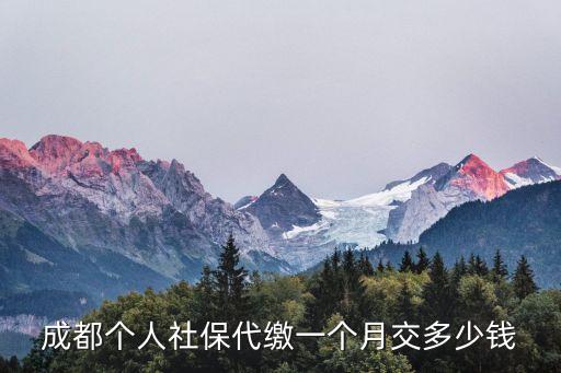 成都個人社保代繳一個月交多少錢