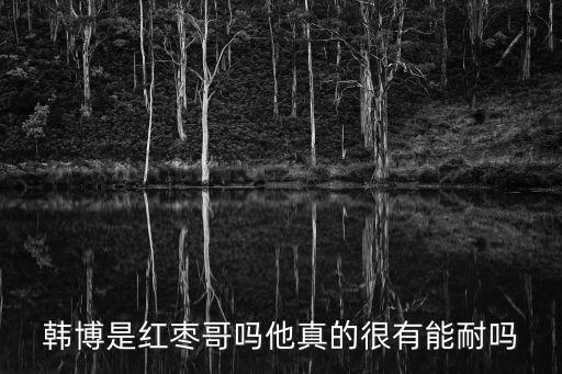 韓博，韓博是什么 是韓國菜還是韓國博士