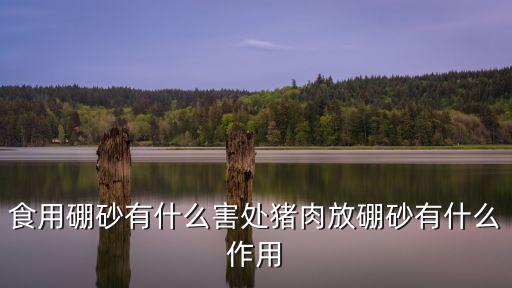 食用硼砂有什么害處豬肉放硼砂有什么作用