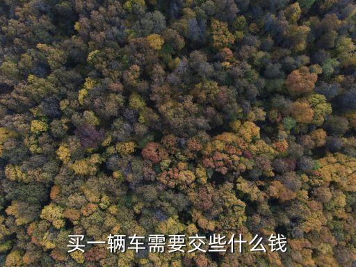 交車，買一輛車需要交些什么錢