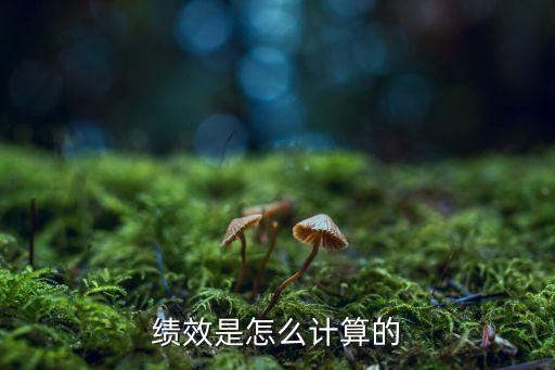 績效是怎么計算的