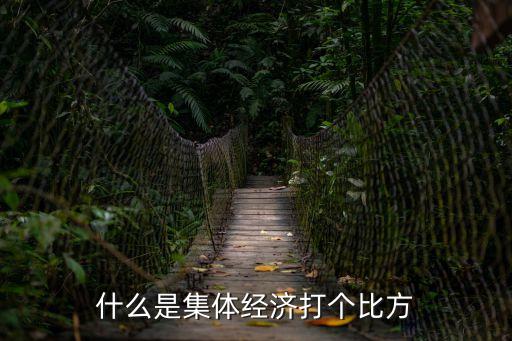 什么是集體經(jīng)濟(jì)打個(gè)比方