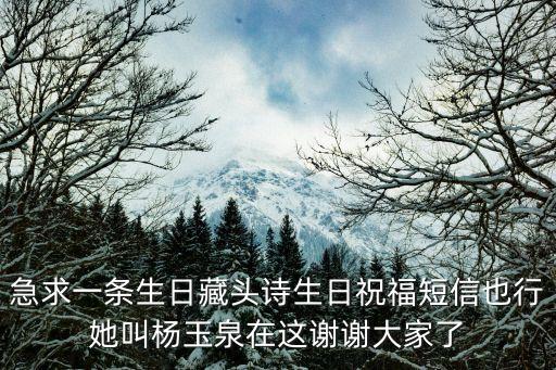 急求一條生日藏頭詩生日祝福短信也行她叫楊玉泉在這謝謝大家了