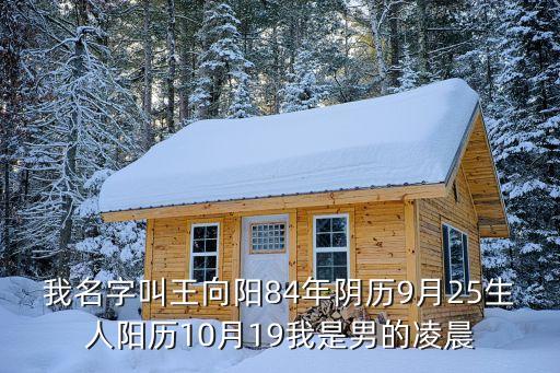 王向陽，王向陽的介紹