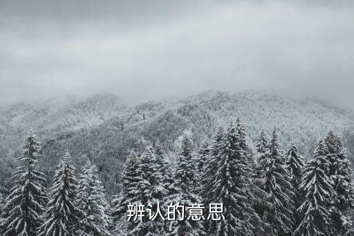 辨認(rèn)的意思