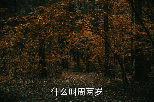 什么叫周兩歲