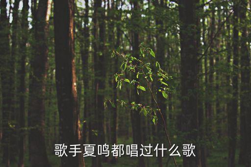 夏鳴，歌手夏鳴和人體模特湯加麗是什么關(guān)系