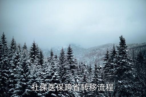 醫(yī)?？缡∞D移，社保醫(yī)?？缡∞D移流程