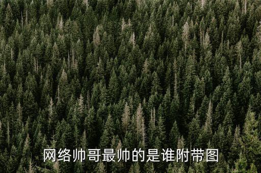 網(wǎng)絡(luò)帥哥最帥的是誰附帶圖