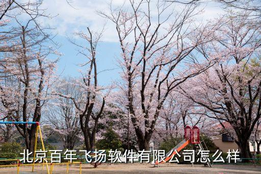 北京百年飛揚(yáng)軟件有限公司怎么樣