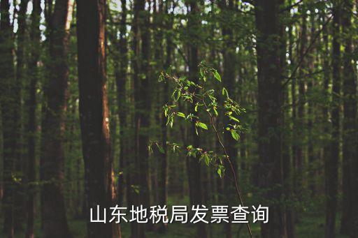 山東地稅局發(fā)票查詢