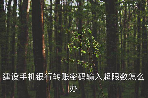 建設(shè)手機銀行轉(zhuǎn)賬密碼輸入超限數(shù)怎么辦