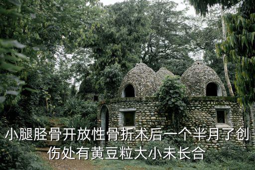 小腿脛骨開(kāi)放性骨折術(shù)后一個(gè)半月了創(chuàng)傷處有黃豆粒大小未長(zhǎng)合