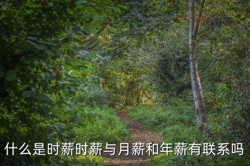 什么是時(shí)薪時(shí)薪與月薪和年薪有聯(lián)系嗎