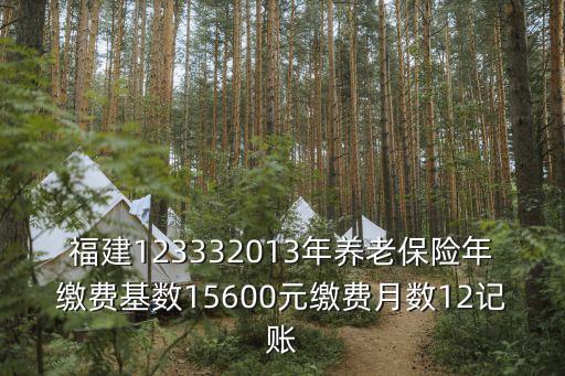 福建123332013年養(yǎng)老保險年繳費基數(shù)15600元繳費月數(shù)12記賬