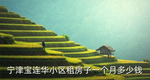 寧津?qū)氝B華小區(qū)租房子一個月多少錢