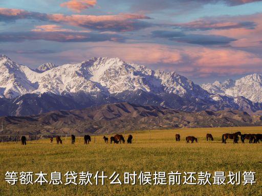 等額本息貸款什么時候提前還款最劃算
