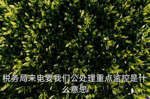 重點監(jiān)控，稅務局來電要我們公處理重點監(jiān)控是什么意思