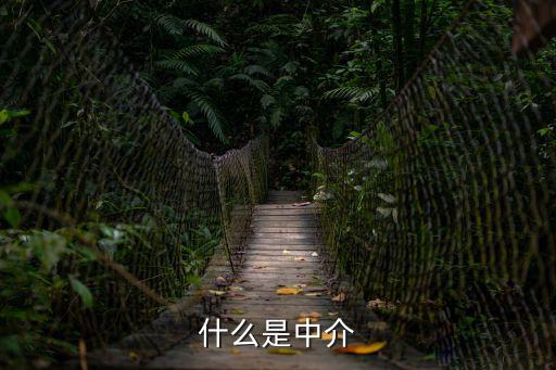 中介是什么意思，什么是中介