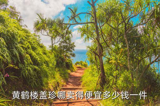 黃鶴樓蓋珍哪賣得便宜多少錢一件