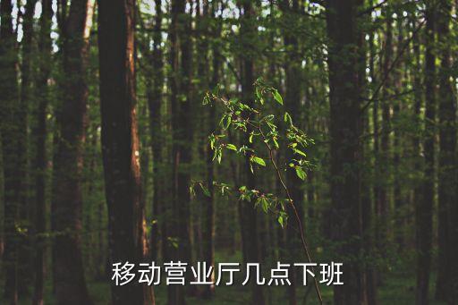 移動(dòng)營業(yè)廳幾點(diǎn)下班