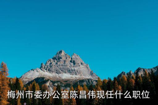 梅州市委辦公室陳昌偉現(xiàn)任什么職位