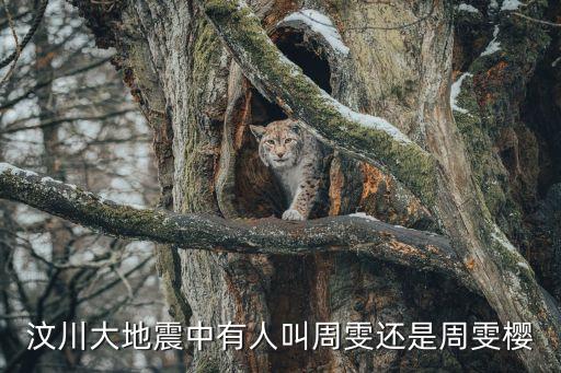 周雯，周雯這兩個字用甲骨文怎么寫