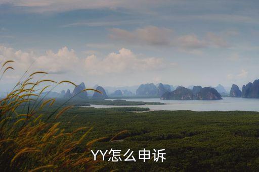 YY怎么申訴