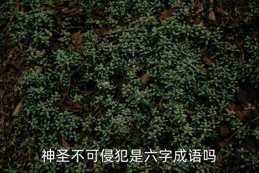 神圣不可侵犯是六字成語嗎
