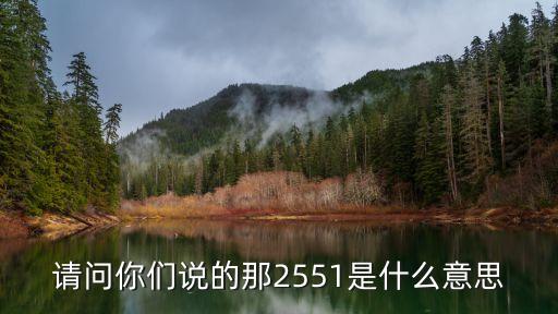 請問你們說的那2551是什么意思
