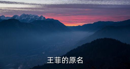 wangfei，王菲的原名