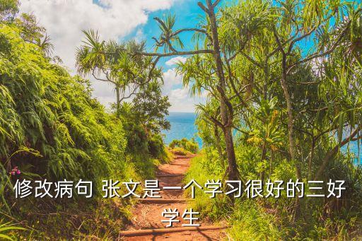 張文，修改病句 張文是一個(gè)學(xué)習(xí)很好的三好學(xué)生