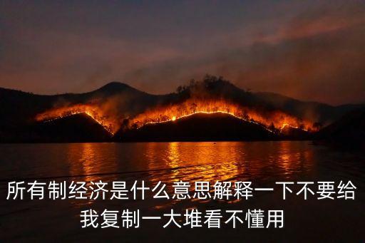 所有制經(jīng)濟是什么意思解釋一下不要給我復制一大堆看不懂用