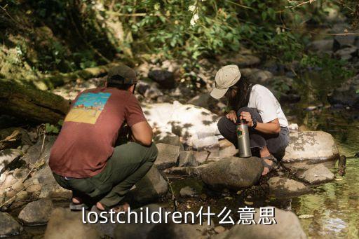 丟失的孩子，lostchildren什么意思
