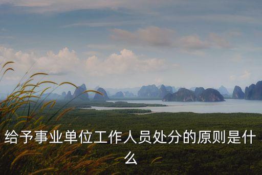 事業(yè)單位處分條例，給予事業(yè)單位工作人員處分的原則是什么