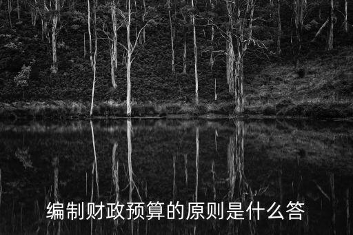 預算編制原則，公共財政預算按兩個什么原則編制
