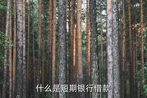 短期貸款，什么是短期銀行借款