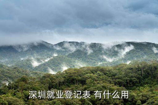 深圳就業(yè)登記表 有什么用