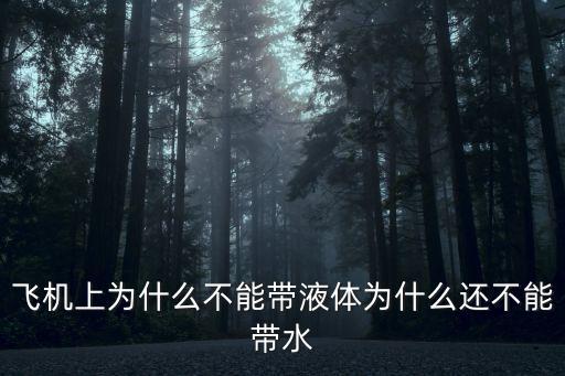 飛機上為什么不能帶液體為什么還不能帶水