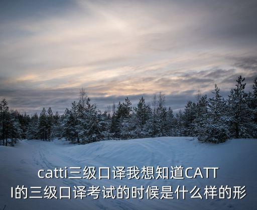 三級(jí)口譯，catti三級(jí)口譯我想知道CATTI的三級(jí)口譯考試的時(shí)候是什么樣的形