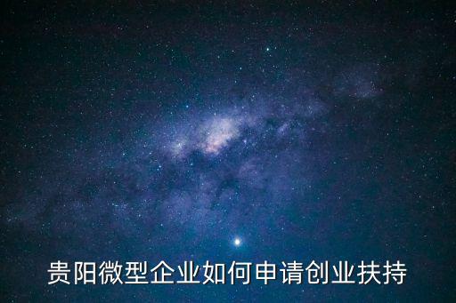 貴陽微型企業(yè)如何申請創(chuàng)業(yè)扶持