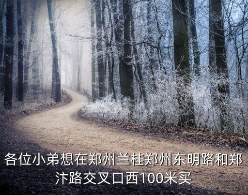各位小弟想在鄭州蘭桂鄭州東明路和鄭汴路交叉口西100米買