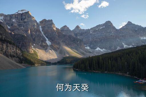 天夫，何為天癸
